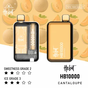 HEBAT一次性電子煙｜10000口｜5%尼古丁｜550mAh 可充電｜口味-哈密瓜