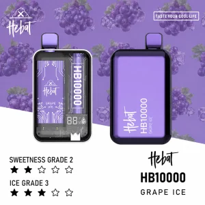HEBAT一次性電子煙｜10000口｜5%尼古丁｜550mAh 可充電｜口味-葡萄冰