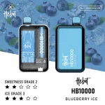 HEBAT一次性電子煙｜10000口｜5%尼古丁｜550mAh 可充電｜口味-藍莓冰