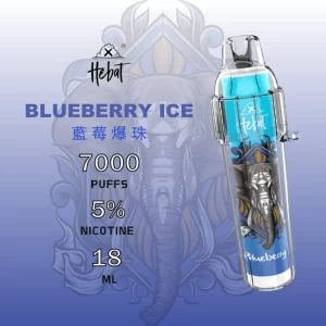 一次性電子煙 HEBAT BOOM｜7000口｜3.5%濃度｜650mAh 可充電｜口味-藍莓爆珠